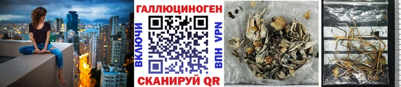 Галлюциногенные грибы мухоморы  Скопин 